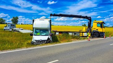 WhatsApp Image 2026-01-15 at 12.33.31